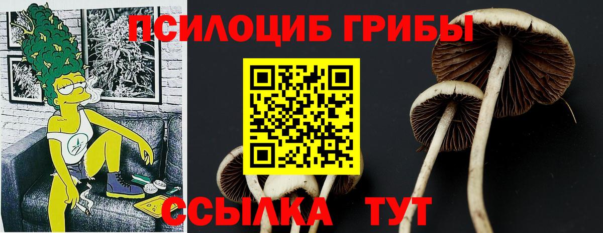 Галлюциногенные грибы ЛСД  Вход с VPN  Россия 